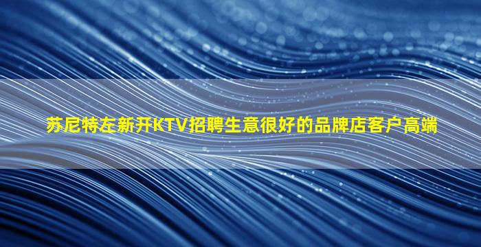 苏尼特左新开KTV招聘生意很好的品牌店客户高端